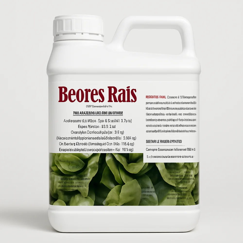 Beores Rais